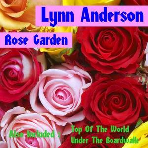 LYNN ANDERSON《Foggy Mountain Breakdown》[MP3_LRC]