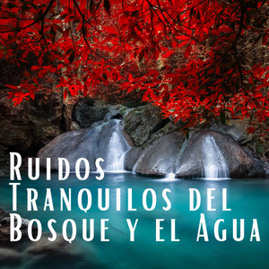 Ahora: Relajante - Sonidos Tranquilos de Pájaros y el Agua pt. 1