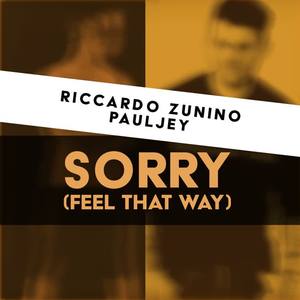 Riccardo Zunino&Pauljey《Sorry (Feel that Way)(Edit Mix)》[MP3_LRC]