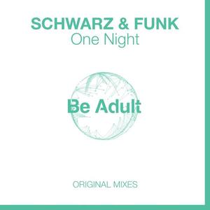 Schwarz&Funk《As If It Was You》[MP3_LRC]