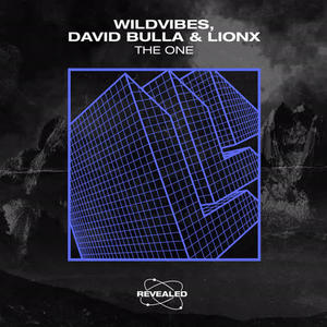 WildVibes&David Bulla&LionX《The One(Extended Mix)》[MP3_LRC]