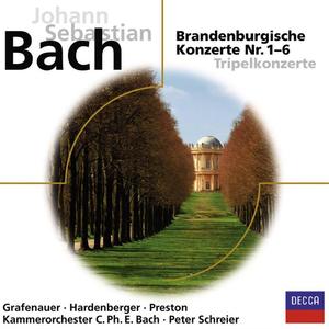 Karl-Heinz Schröter&Manfred Pernutz&Klaus Kirbach&kammerorchester Carl Philipp Emanuel Bach《1. (Allegro)》[MP3_LRC]