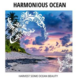 Funk Waves Ocean Studio - The Ocean Pond