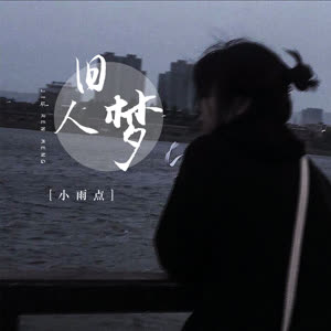 小雨点《旧人梦(DJ默涵版)》[MP3_LRC]