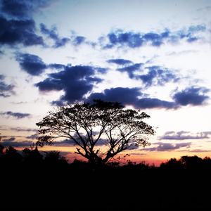 Relaxed Minds&Ambient Nature White Noise&Spa Chillout Music Collection - Tonal Tides