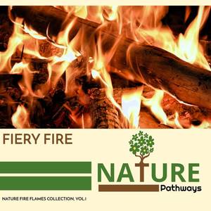 Noisy Flames Nature Music - Weak Sizzle