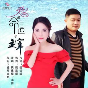 魏建耀&蒋婴《爱情是命运的主宰（对唱版）》[MP3_LRC]