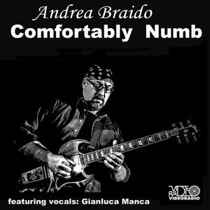 Andrea Braido&Gianluca Manca《Comfortably Numb》[MP3_LRC]