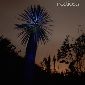 Noctiluca《Crema de estrellas》[MP3_LRC]