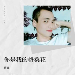 寳寶 - 努力工作，拼命搞钱 (cover: 肖凯枫)