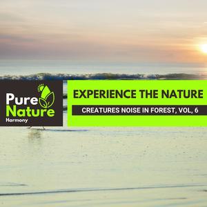 Nature Calm Sound Project - Midday Holt Wetlands
