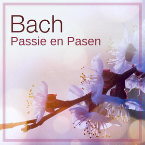 Claudia Schubert&Maria Cristina Kiehr&Netherlands Chamber Choir&Orchestra Of The 18th Century&Frans Brüggen《J.S. Bach: St. Matthew Passion, BWV 244 / Part One - No. 27 Aria (Soprano, Alto, Chorus II) : "So ist mein Jesus nun gefangen" - Chorus I/II: "Sind Blitze, sind Donner"》[MP3_LRC]