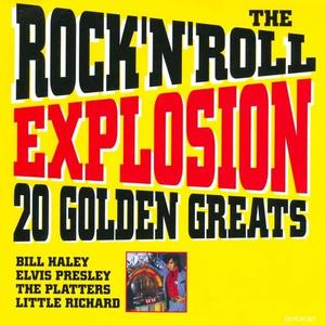 Bill Haley And His Comets《See You Later, Alligator》[MP3_LRC]