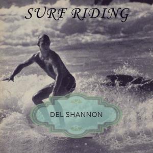 Del Shannon《Lies》[MP3_LRC]