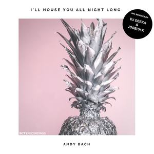 Andy Bach《I'll House You All Night Long(Dub Mix)》[MP3_LRC]