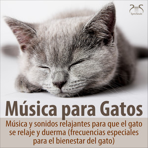 Música para gatos TA&Torsten Abrolat - Música para dormir para gatos, parte 9: Quinto down B-E, sueño y regeneración - con ruido blanco y ronroneo ligero