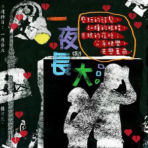 赵传 - 我终于失去了你