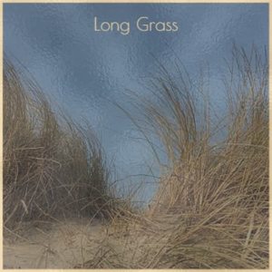 Liam Stewart《Long Grass》[MP3_LRC]