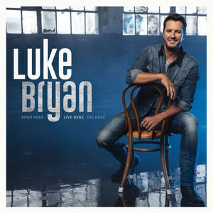 Luke Bryan《Too Drunk To Drive》[MP3_LRC]