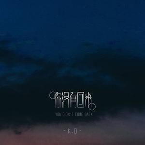 K.D《你没有回来》[MP3_LRC]