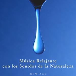 Esperanza Zen - Mejorar la Concentración