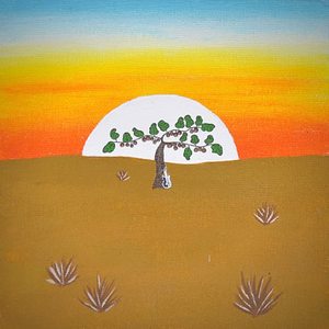 Dawson - Kiwi Tree