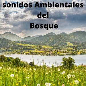 Sonidos del Bosque - Sonidos del Alma