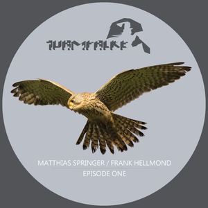 Matthias Springer《Mandrake Groove》[MP3_LRC]