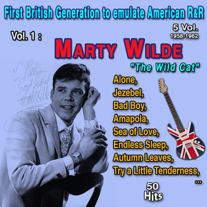 Marty Wilde《Don't Run Away》[MP3_LRC]