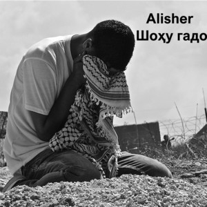 Alisher《Шоҳу гадо》[MP3_LRC]