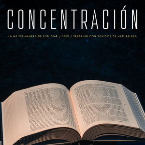 Concentracion Examenes&Música para Cocinar&Aprender a Estudiar - Hora De Leer