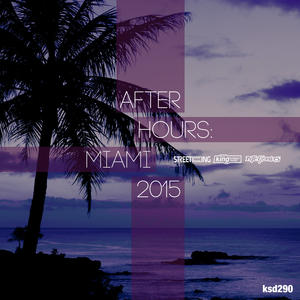 NoonStar《After Hours: Miami 2015 Night Club Mix(Continuous DJ Mix)》[MP3_LRC]