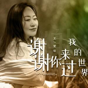 王爱华 - 谢谢你来过我的世界