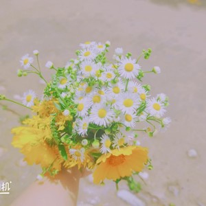 薛双龙 - 愿你三冬暖