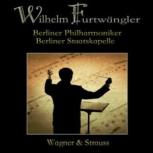 Berliner Philharmoniker&Wilhelm Furtwangler《Thema I.  Bewegt - Thema II.  Sehr lebhaft - Thema III. Ruhig》[MP3_LRC]