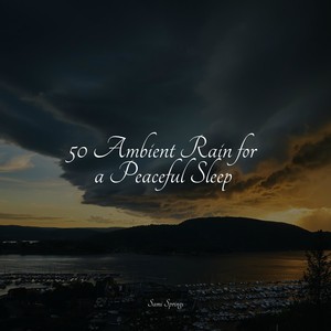 Nature Chillout&Loopable Rain Sounds&Ambient Music Therpy - Birds Singing in the Forest