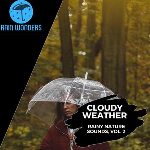 Cosmic Pink Noise Rain Music - Night Bubbles Buzz