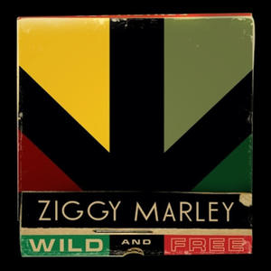 Ziggy Marley《A Sign》[MP3_LRC]