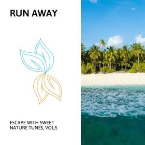 Charming Ocean Ambience Nature Music - Night with Ocean Waves
