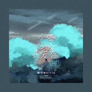 赖仔Morris《不要忘记我爱你(男生版伴奏)》[MP3_LRC]