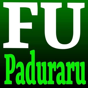 Paduraru《FU(Fit Mix)》[MP3_LRC]