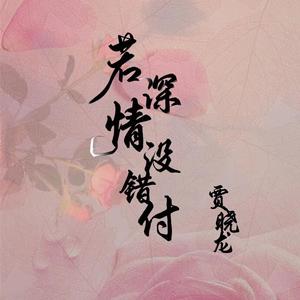 贾晓龙 - 若深情没错付