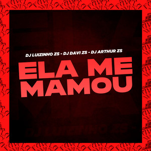 DJ LUIZINHO ZS&DJ Davi ZS&Dj Arthur Zs《Ela Me Mamou(Explicit)》[MP3_LRC]