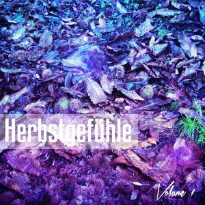 Fruitroom&Sesch《You Make Me Smile(Melancholic Remix)》[MP3_LRC]