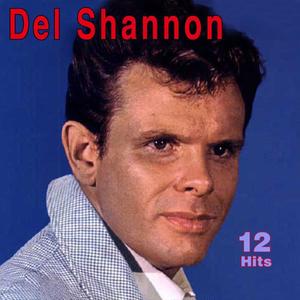 Del Shannon《Don't Gild the Lily Lily》[MP3_LRC]