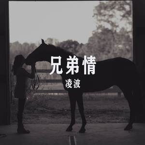 凌波《花轿先往南山旁》[MP3_LRC]