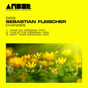 Sebastian Fleischer《Have Ok》[MP3_LRC]