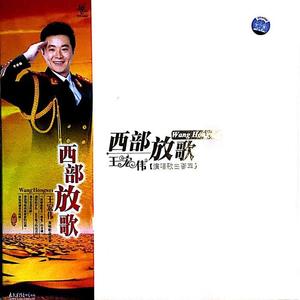 王宏伟 - 老家