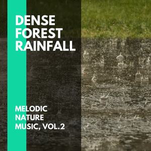 Mizzle Affection Nature Sounds - Light Rain and Sweet Talks