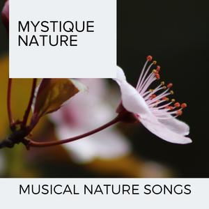 Oceanic Power Music Library - Mid Night Rain Sound